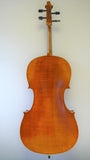 Sandner CC4 Full 44 Size Cello Back view