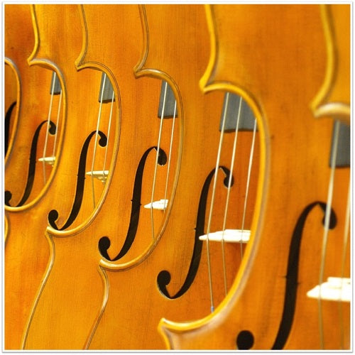 Buyers Guide to Sandner Bowed String Instruments