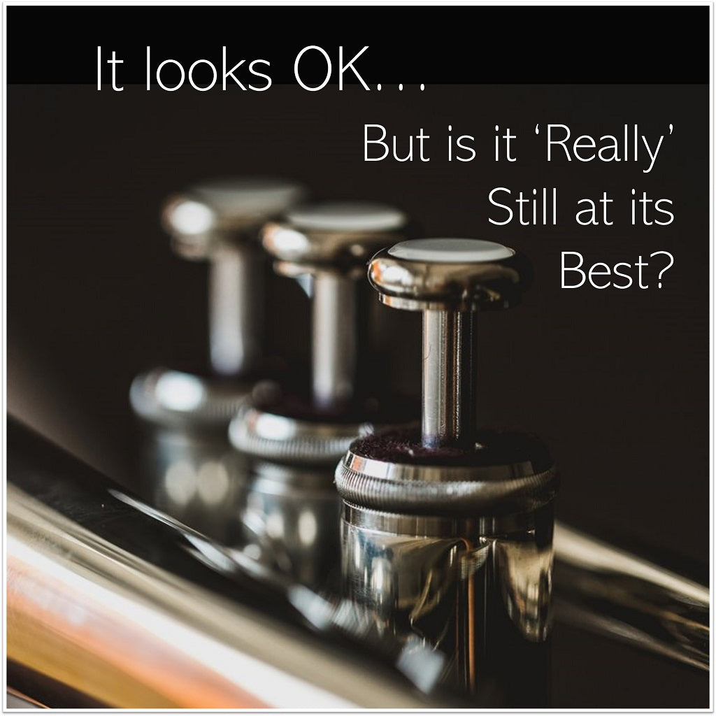 Looking After Woodwind & Brass Instruments Brittens Music