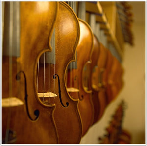How Do I Choose a Violin?
