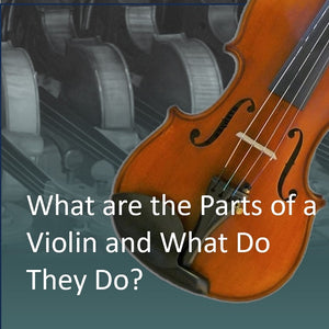 What are the Parts of a Violin and What do they do?