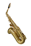 Elkhart 100AS Student Alto Sax Outfit