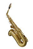 Elkhart 100AS Student Alto Sax Outfit
