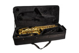 Elkhart 100AS Student Alto Sax Outfit