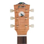 Bromo Denali Electro Acoustic Guitar BAN7E