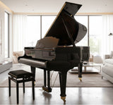 Broadwood Grand in a Living Room Setting