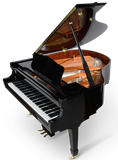 Danemann DG-160 Acoustic Grand Piano
