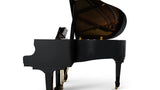 Danemann DG-152 Acoustic Grand Piano