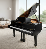 Danemann DG-152 Acoustic Grand Piano