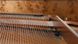 Danemann DG-160 Acoustic Grand Piano