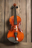 RV-1 Student Violin Outfit 1/8 to 3/4