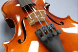Close-up of a violin with a blurred background