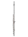 Pearl Quantz B525E-HC Brezza Flute Outfit