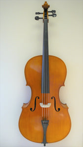 Sandner SC4 Full 44 Size Cello Outfit Front view