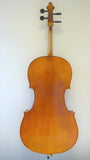 Sandner SC4 Full 44 Size Cello Outfit Back view