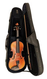 Sandner 300 Violin Outfit including case and bow